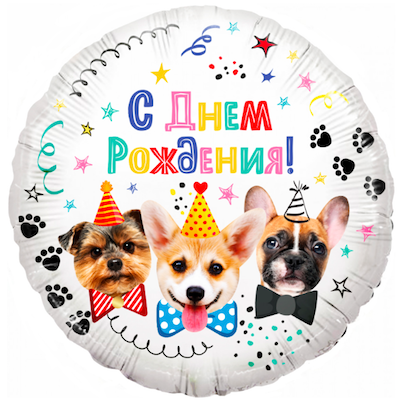 Шар с гелием, фольгированный круг "С днём рождения! щенки в колпаках"