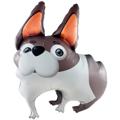 Шар с гелием, фольгированная фигура "Бульдог"