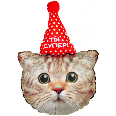 Шар с гелием, фольгированная фигура "Кот в колпаке, Ты супер!"