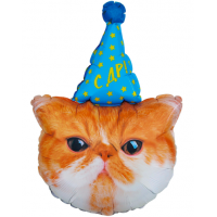 Шар с гелием, фольгированная фигура "Рыжий кот в колпаке С ДР!"