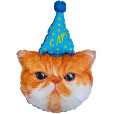 Шар с гелием, фольгированная фигура "Рыжий кот в колпаке С ДР!"