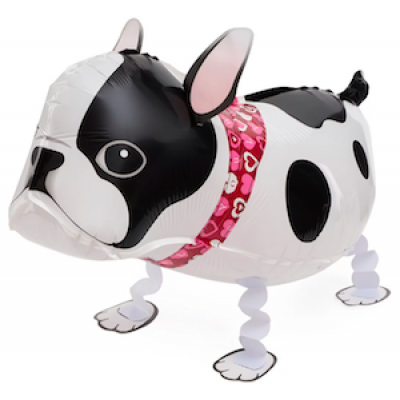 Шар с гелием, ходячая фигура "Бульдожка"